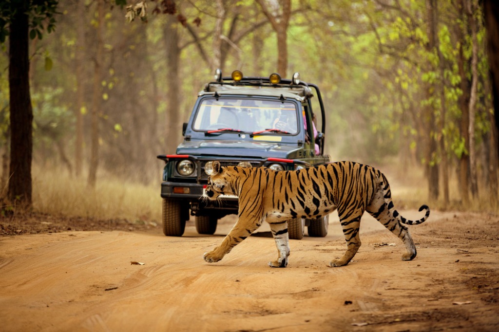 Ertiga - Kanatal Family Taxi